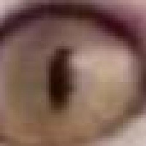 สมาชิกหมายเลข 8122969