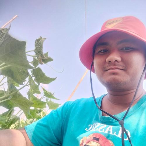 สมาชิกหมายเลข 9162114