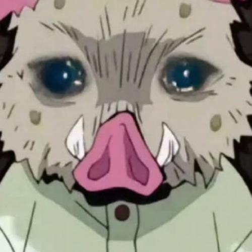 สมาชิกหมายเลข 9162251