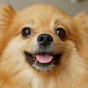 สมาชิกหมายเลข 905125