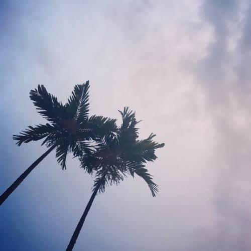 สมาชิกหมายเลข 3045702