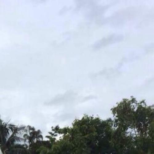 สมาชิกหมายเลข 4681750