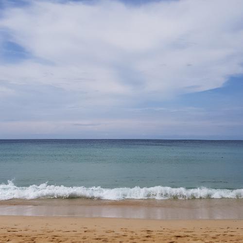 สมาชิกหมายเลข 2445489