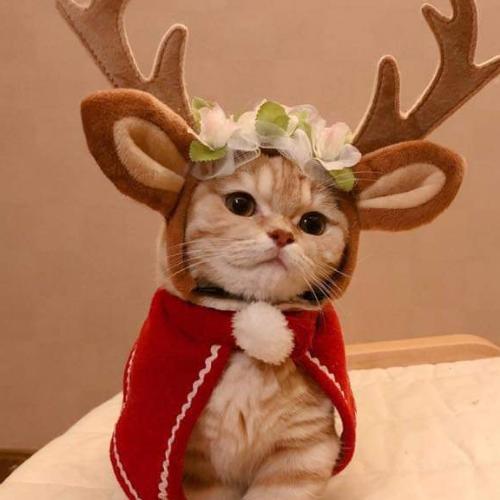 สมาชิกหมายเลข 5048245