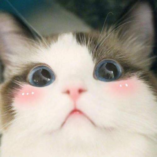 สมาชิกหมายเลข 4499938