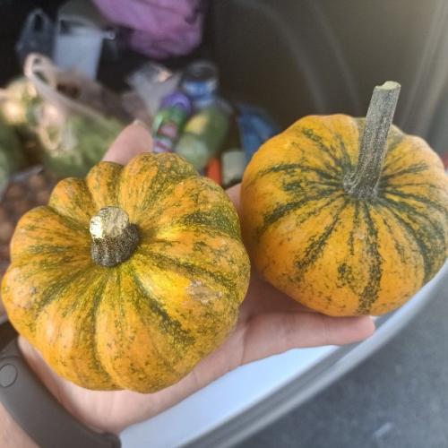 สมาชิกหมายเลข 5798197