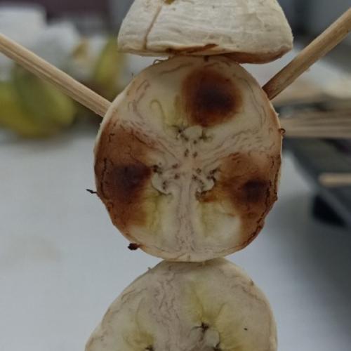 สมุดพก(ชะเอม)