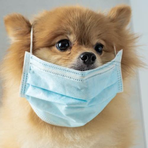 สมาชิกหมายเลข 1622507