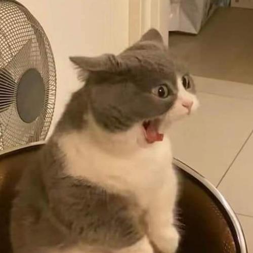 สมาชิกหมายเลข 6505175