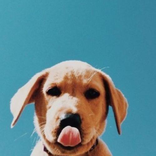 สมาชิกหมายเลข 6566257