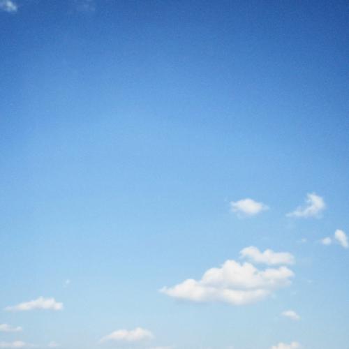 สมาชิกหมายเลข 3813846