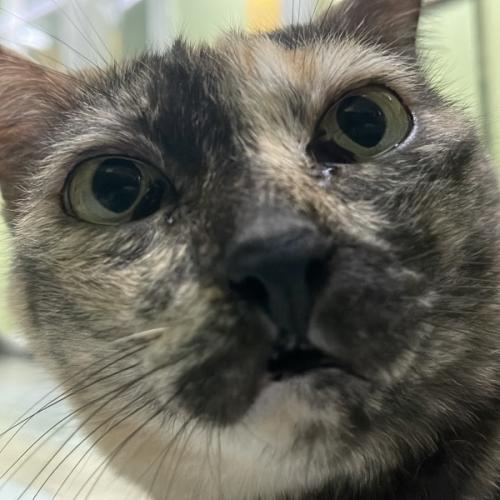 สมาชิกหมายเลข 8123905