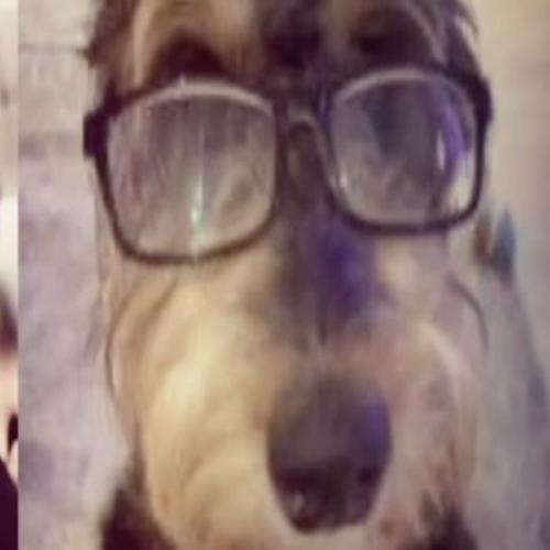 สมาชิกหมายเลข 8437579