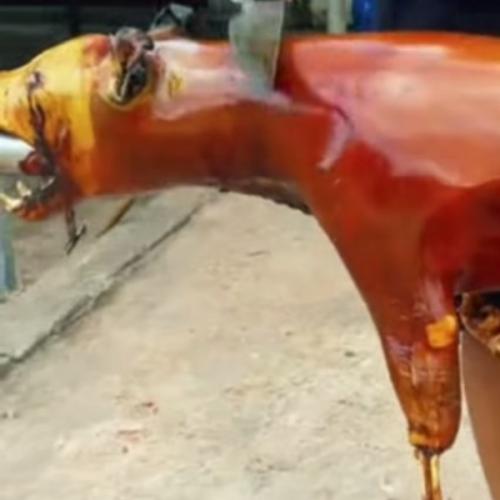 สมาชิกหมายเลข 9109171