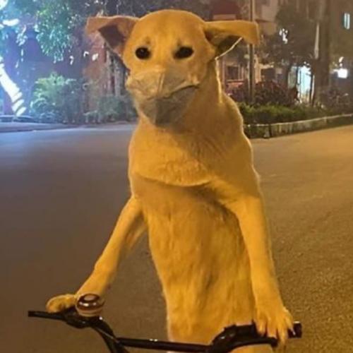 สมาชิกหมายเลข 9163341