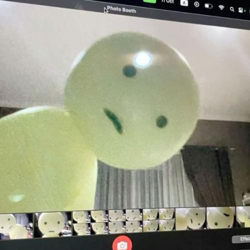 สมาชิกหมายเลข 9163401