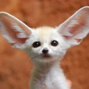 สมาชิกหมายเลข 1451447