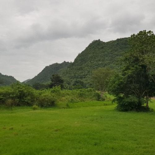 สมาชิกหมายเลข 899296