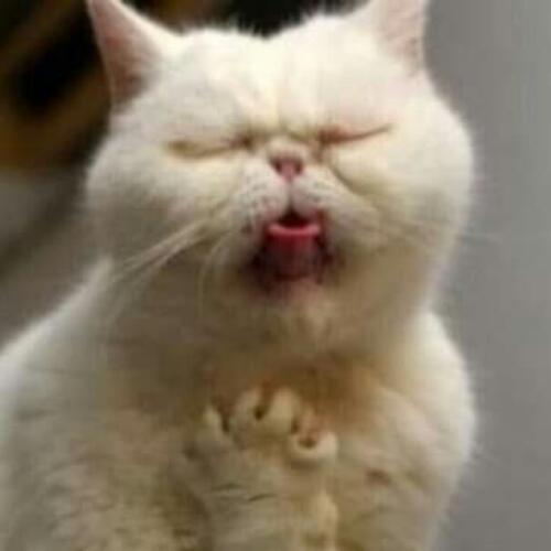 สมาชิกหมายเลข 5048979