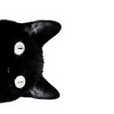 สมาชิกหมายเลข 4033625