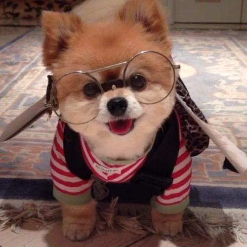 สมาชิกหมายเลข 5251579