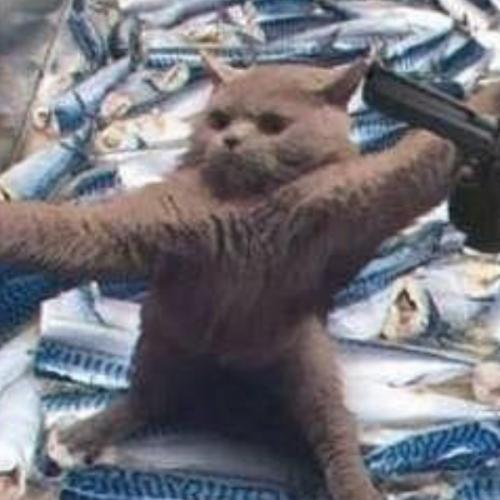 สมาชิกหมายเลข 5777684