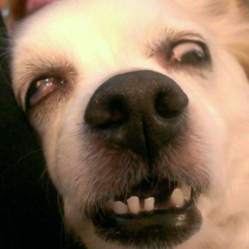 สมาชิกหมายเลข 4787824