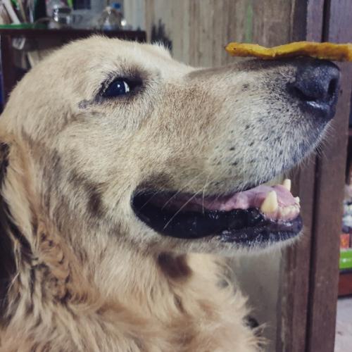 สมาชิกหมายเลข 717643