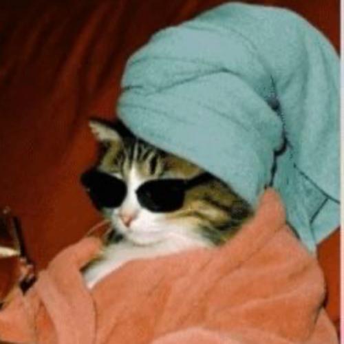 สมาชิกหมายเลข 5153393