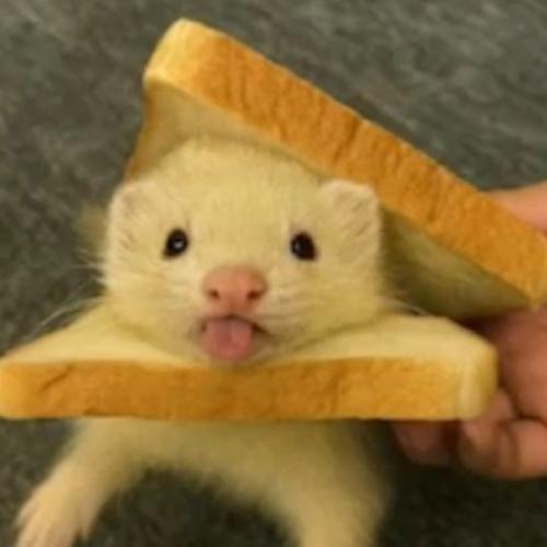 สมาชิกหมายเลข 6941801