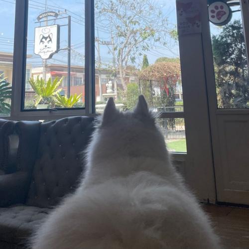 สมาชิกหมายเลข 9164701