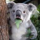 สมาชิกหมายเลข 3926305