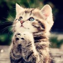 สมาชิกหมายเลข 4308057