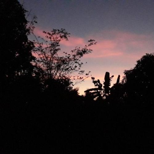 สมาชิกหมายเลข 5039419