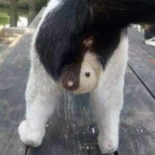 สมาชิกหมายเลข 4899951