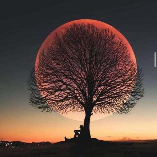 สมาชิกหมายเลข 3981619