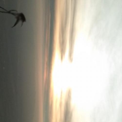 สมาชิกหมายเลข 6567422