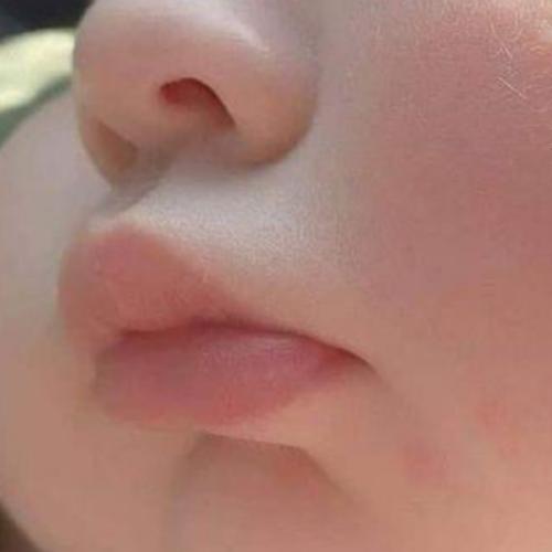 สมาชิกหมายเลข 1533394