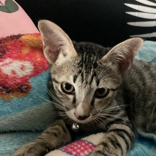 สมาชิกหมายเลข 3097938