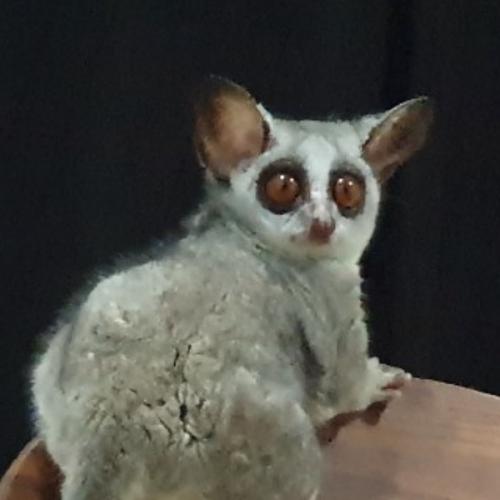 สมาชิกหมายเลข 6264420