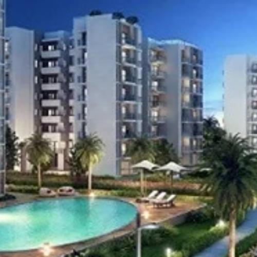 สมาชิกหมายเลข 8125797