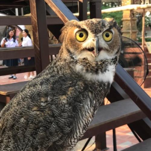 สมาชิกหมายเลข 8404174