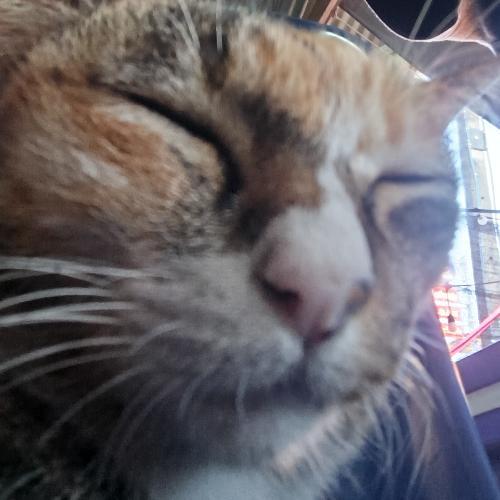 สมาชิกหมายเลข 9165707