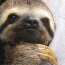 สมาชิกหมายเลข 3841295