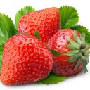 สมาชิกหมายเลข 4307668