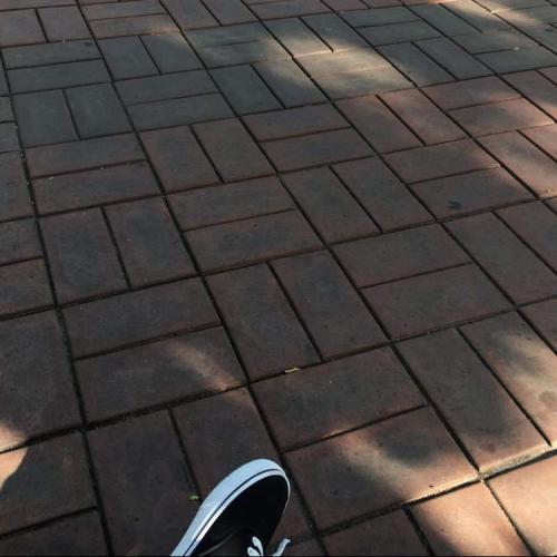 สมาชิกหมายเลข 4684480