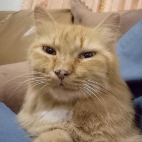 สมาชิกหมายเลข 5049518