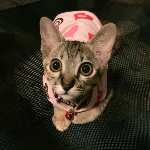 สมาชิกหมายเลข 3221269