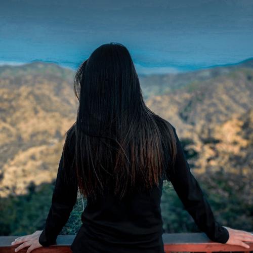 สมาชิกหมายเลข 4562257