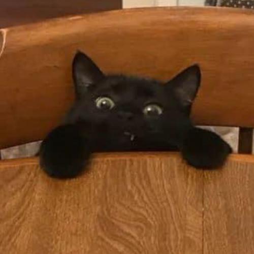 สมาชิกหมายเลข 5375409